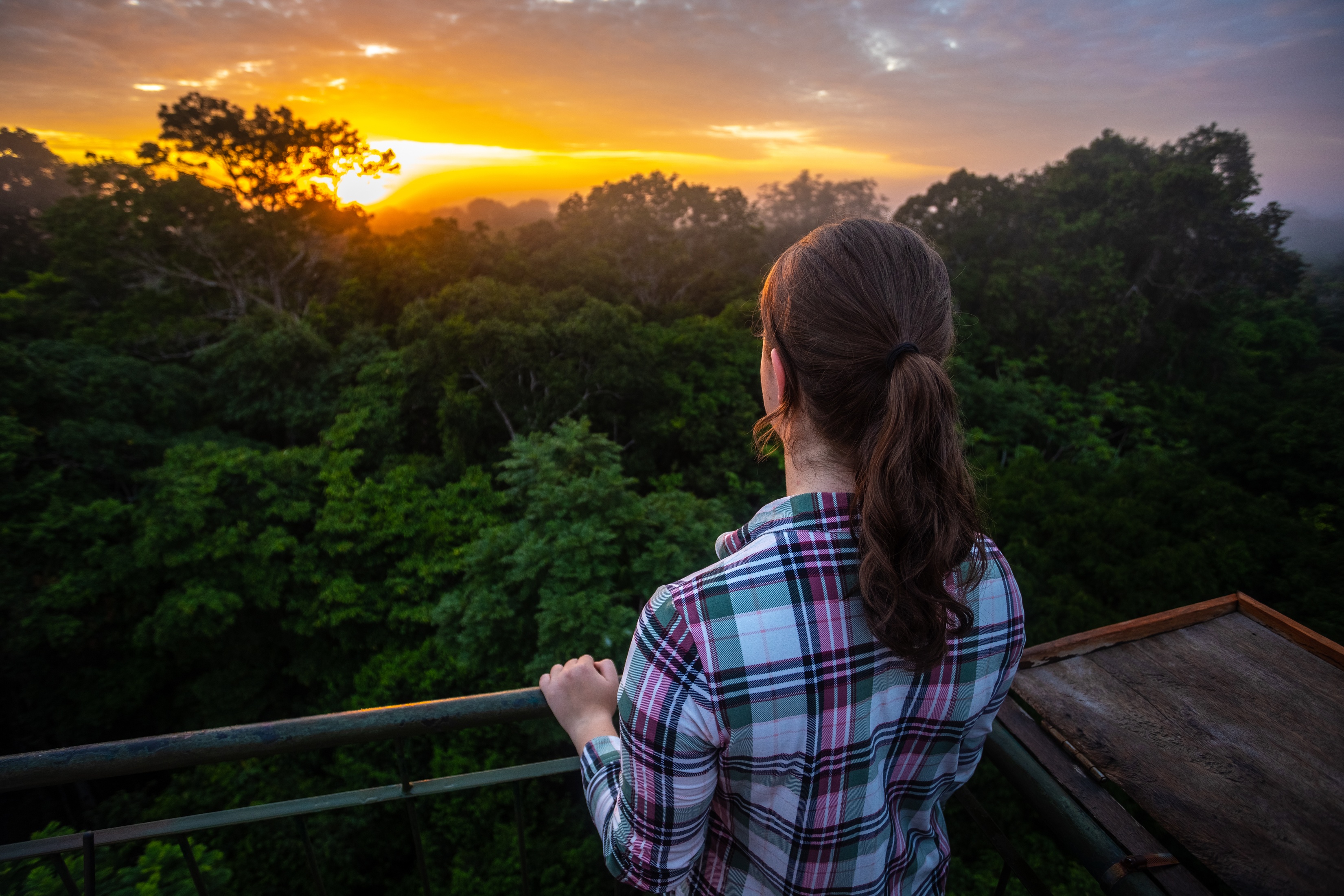 Refugio Amazonas - young woman facing sunset on canopy tower overlooking Tambopata in Peru's Amazon rainforest