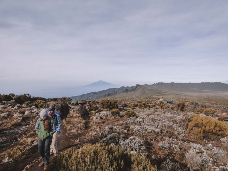 Trekkers on the Lemosho route of Kilimanjaro benefitting from excellent acclimatisation
