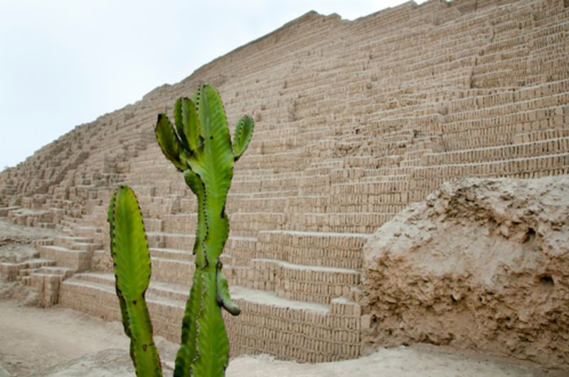 Huaca Pucllana pyramid with cactus in foreground, Lima, Peru 