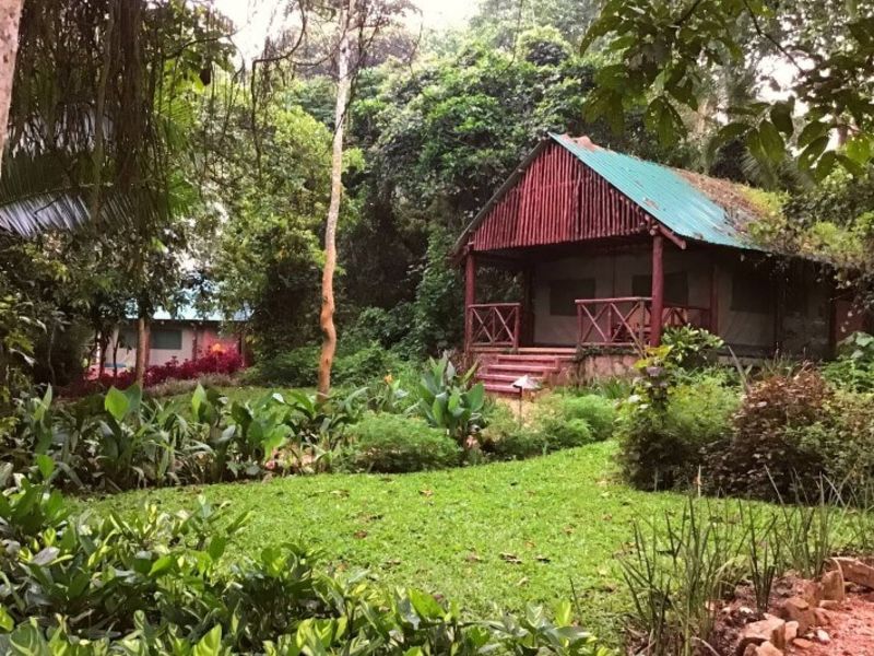 Kibale Forest Camp in Kibale Uganda