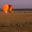 Hot air balloons preparing for early morning departure in the Maasai Mara, Kenya