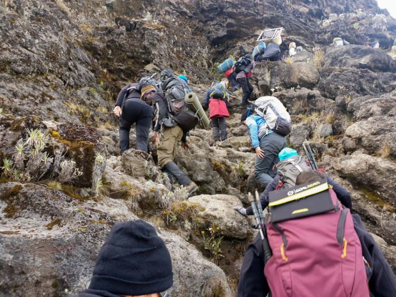 Trekkers climbing the Barranco Wall on Kilimanjaro