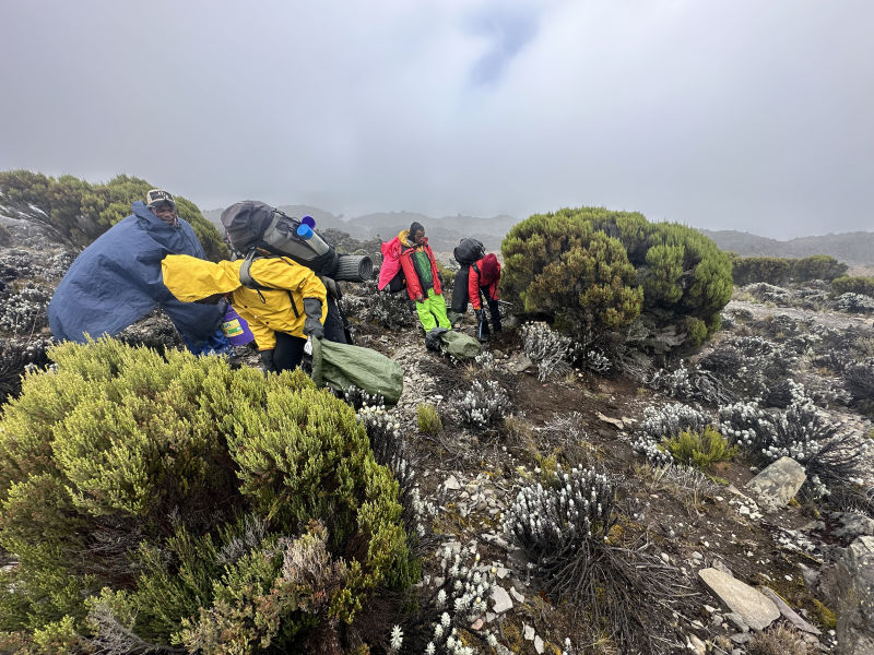 Windy Kilimanjaro cleanup