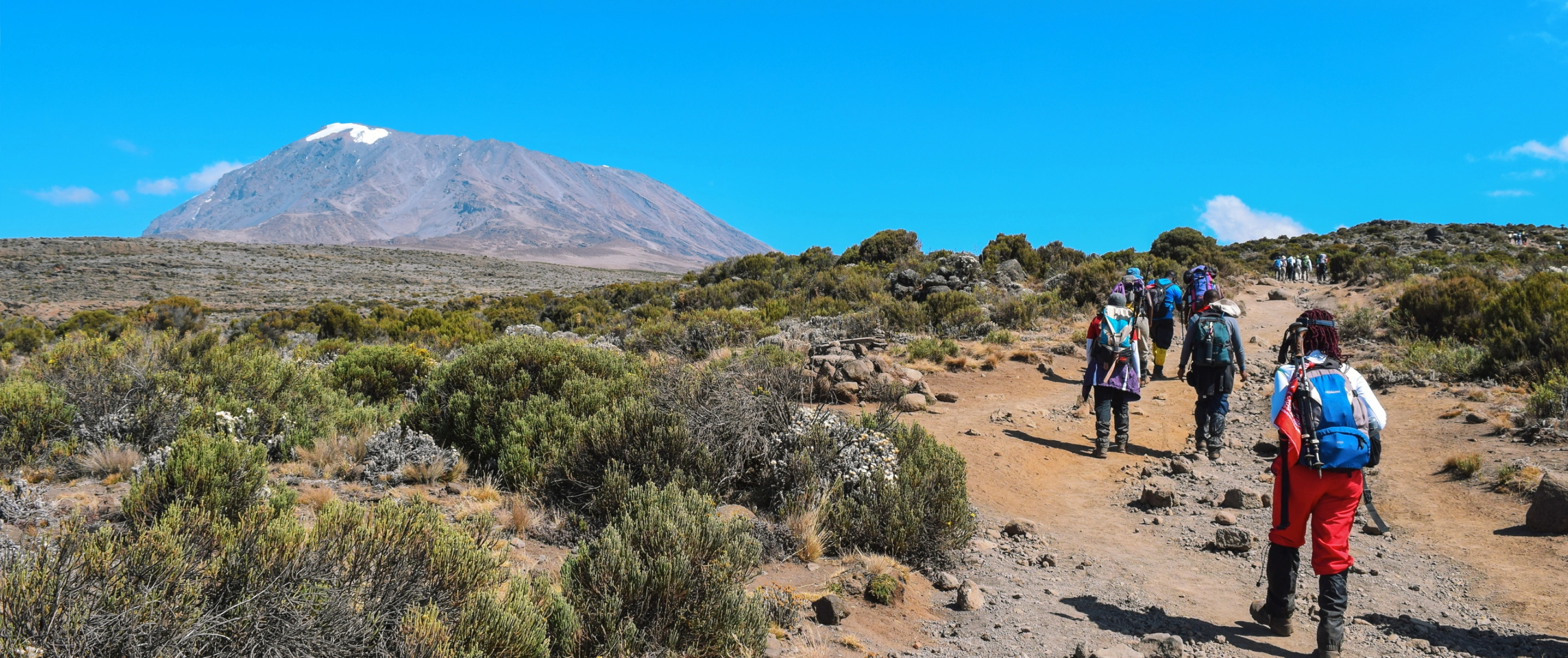 Hikers walking towards Kilimanjaro