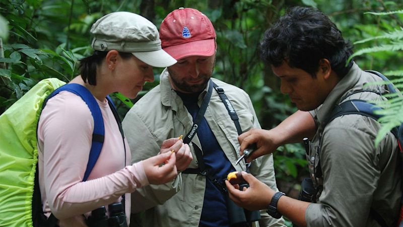 Guide and tourists looking at fruit on farm visit in Tambopata of Peru's Amazon, Refugio Amazonas picture