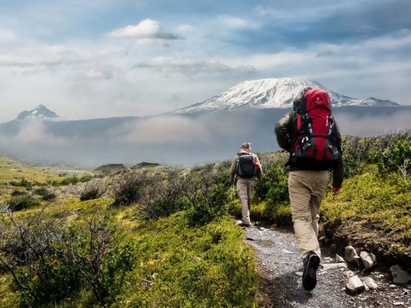 Trekkers heading towards Mt Kilimanjaro