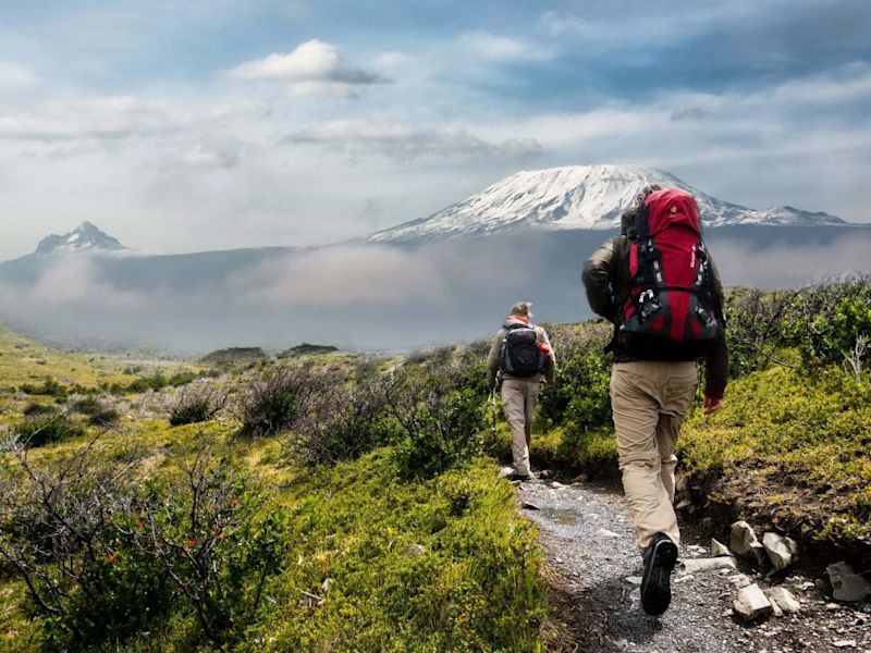 Trekkers heading towards Mt Kilimanjaro