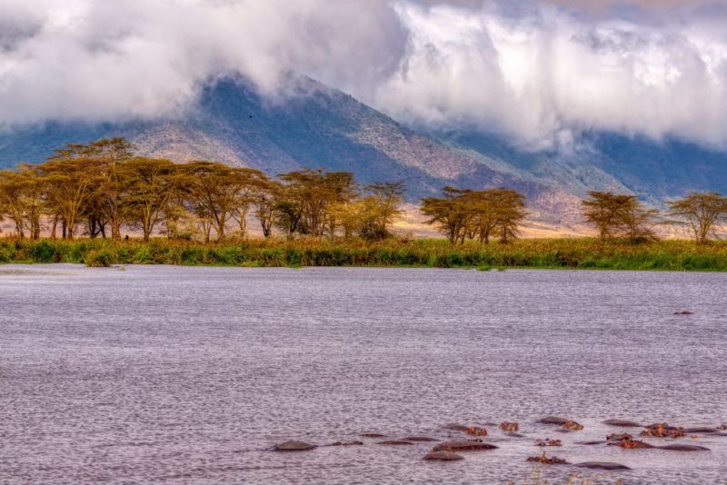 Make MAgadi Ngorongoro Crater