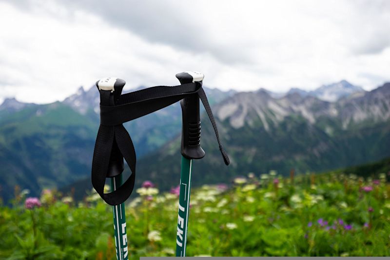 Trekking poles wrist bands meadow