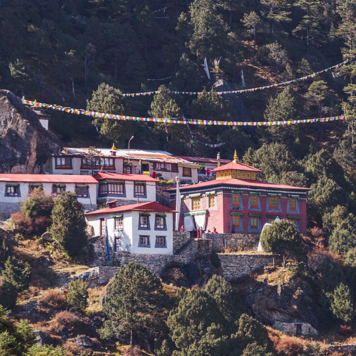 Namche Bazaar day trip, Hike to Khumjung and Khunde villages