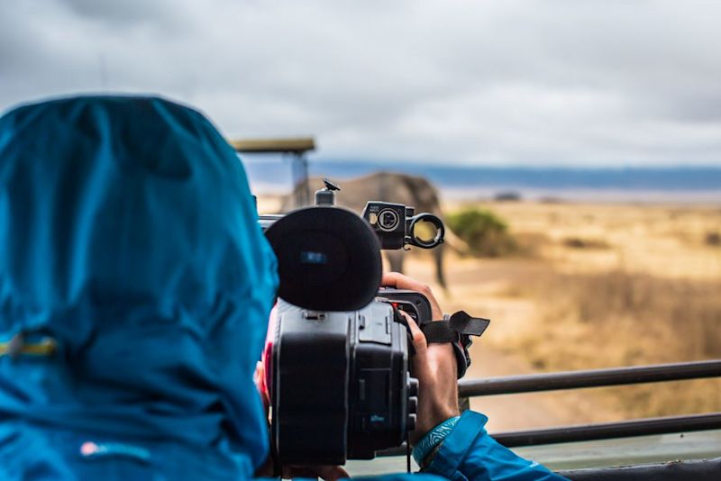 filiming-elephant-with-panasonic-camera-on-safari-1024x683.jpg