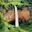 The beautiful Sipi Falls in Uganda