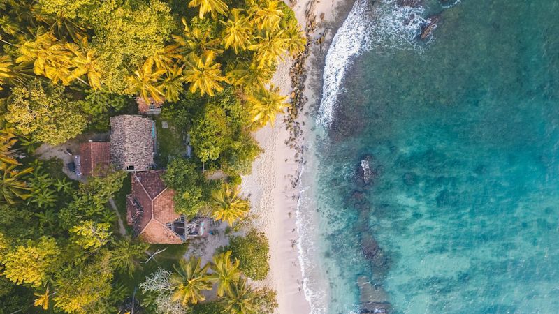 aerial view of beach scene with palm trees Sri Lanka