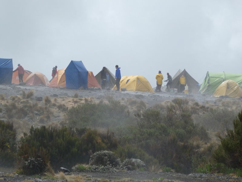 Misty moorland campsite, Kilimanjaro
