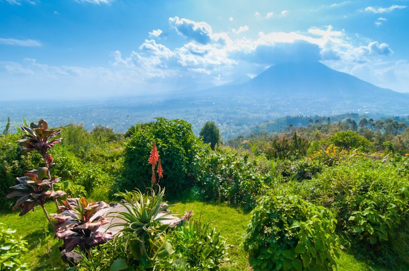 Ours. View of Mt Sabyinyo, Volcanoes National Park, Rwanda