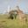 Giraffe in Nairobi NP with Nairobi cityscape in background