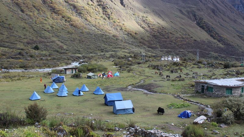 The view of tourist tents pitched at the Jomolhari base campsite in Paro, Bhutan