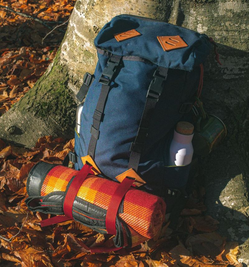 Backpack with blanket attached leaning against a tree trunk and sitting on orange, autumnal leaves