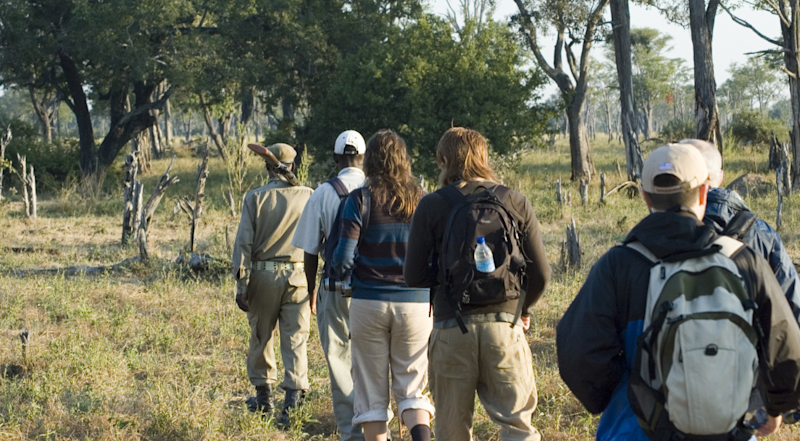 Walking safari