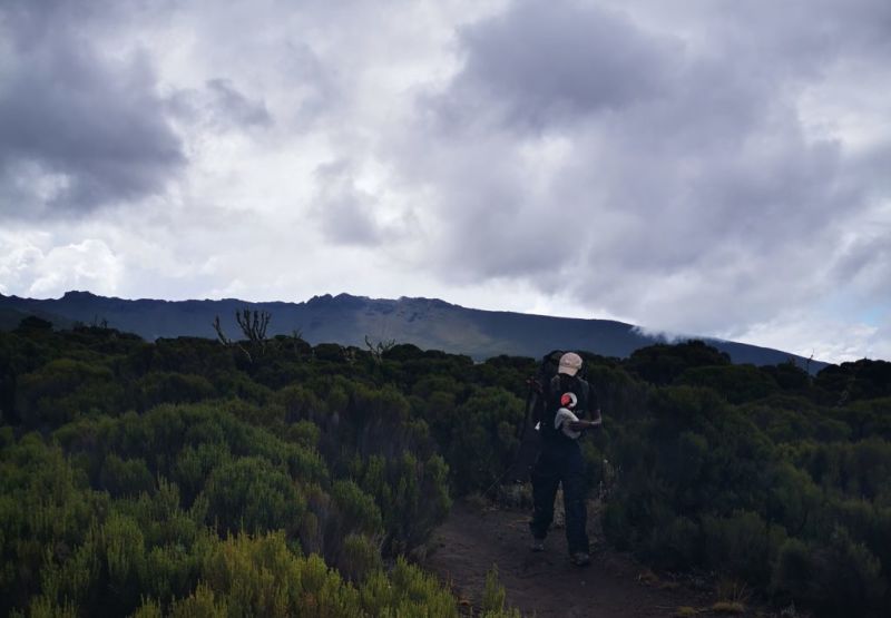 Bushes-with-Florence-on-Shira-Plateau-Kilimanjaro-1-1024x710.jpg