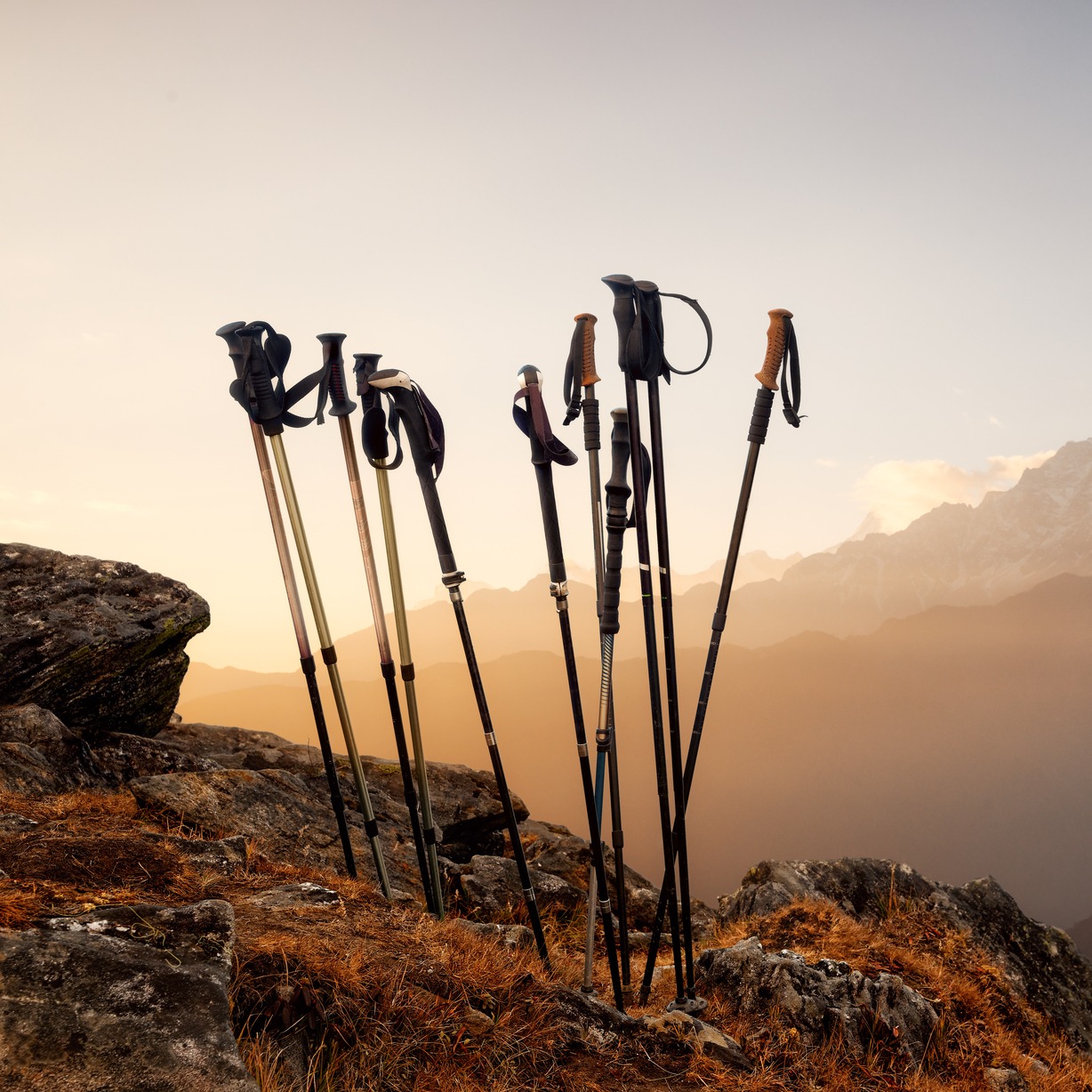 Shops choosing walking poles