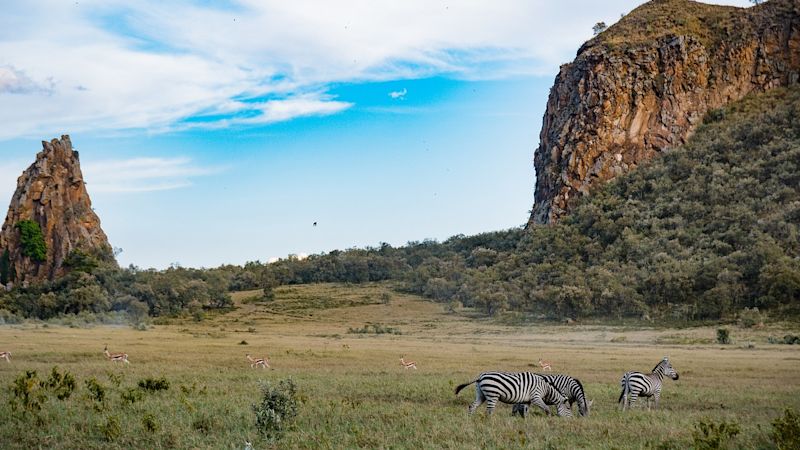 Zebras and Thomson's gazelles in Hell's Gate National Park, Kenya safari