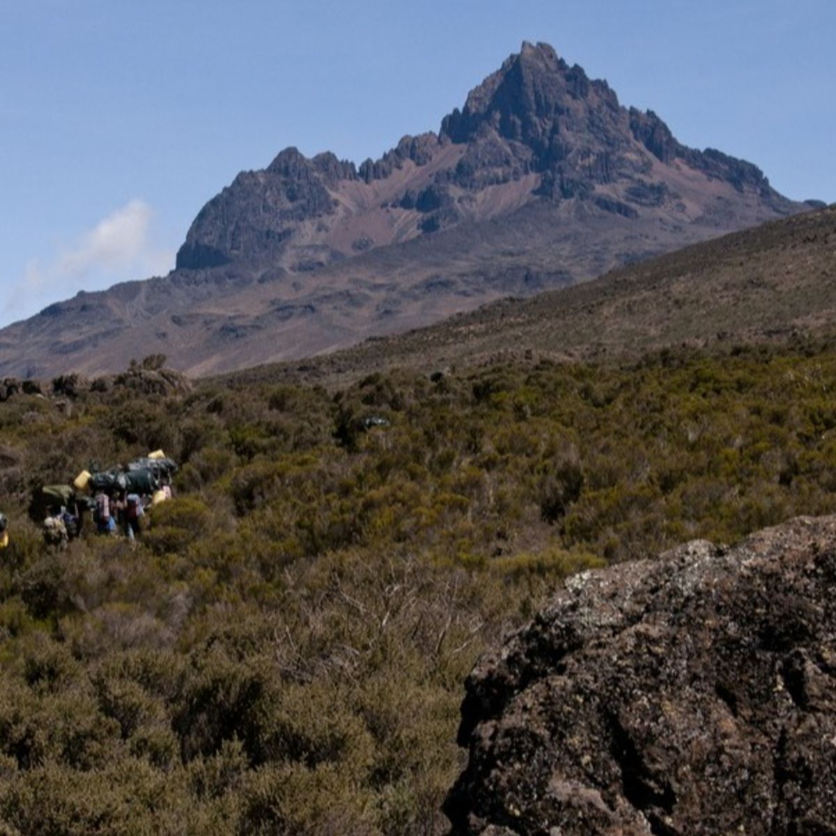 Ours. S. Porters in moorland zone on Rongai with Mawenzi in background, Kilimanjaro 