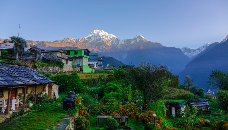 Teahouse and village in summer greenery in Annapurna Circuit mountains of Nepal
