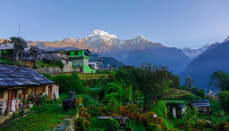 Teahouse and village in summer greenery in Annapurna Circuit mountains of Nepal