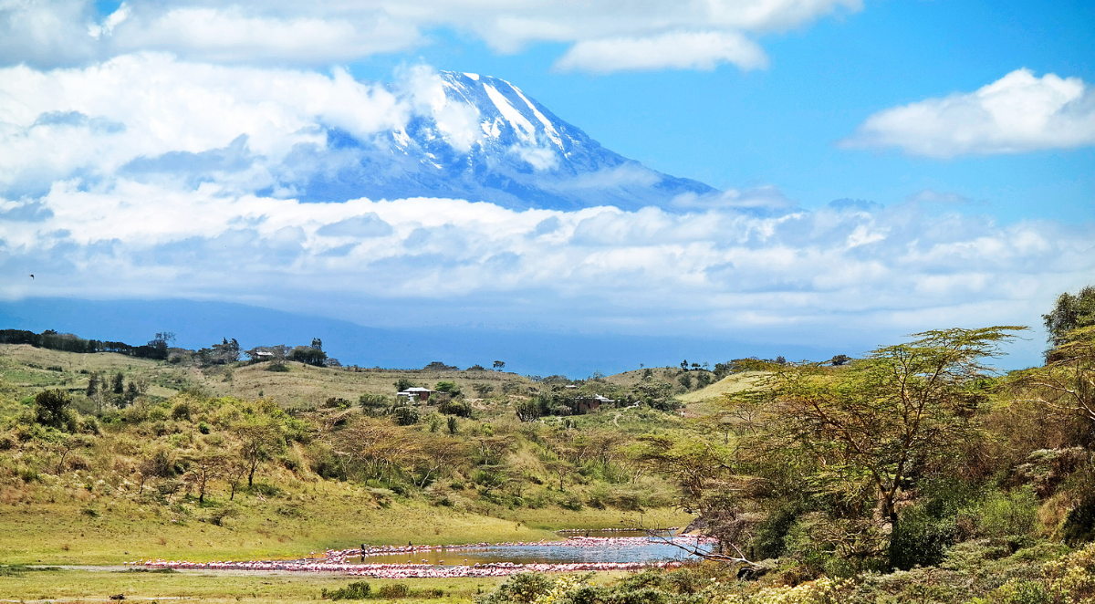 Mount Kilimanjaro backdrop
