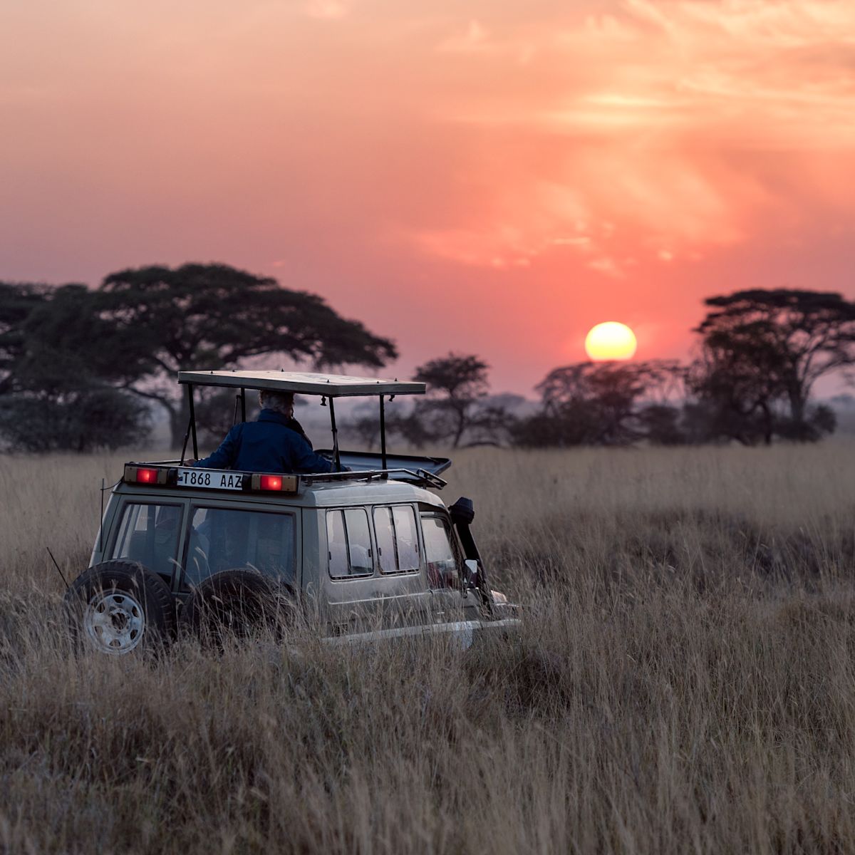 Serengeti safari