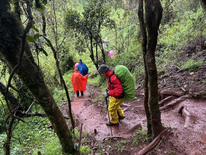 Rainforest rainy walk hikers Tanzania Kilimanjaro