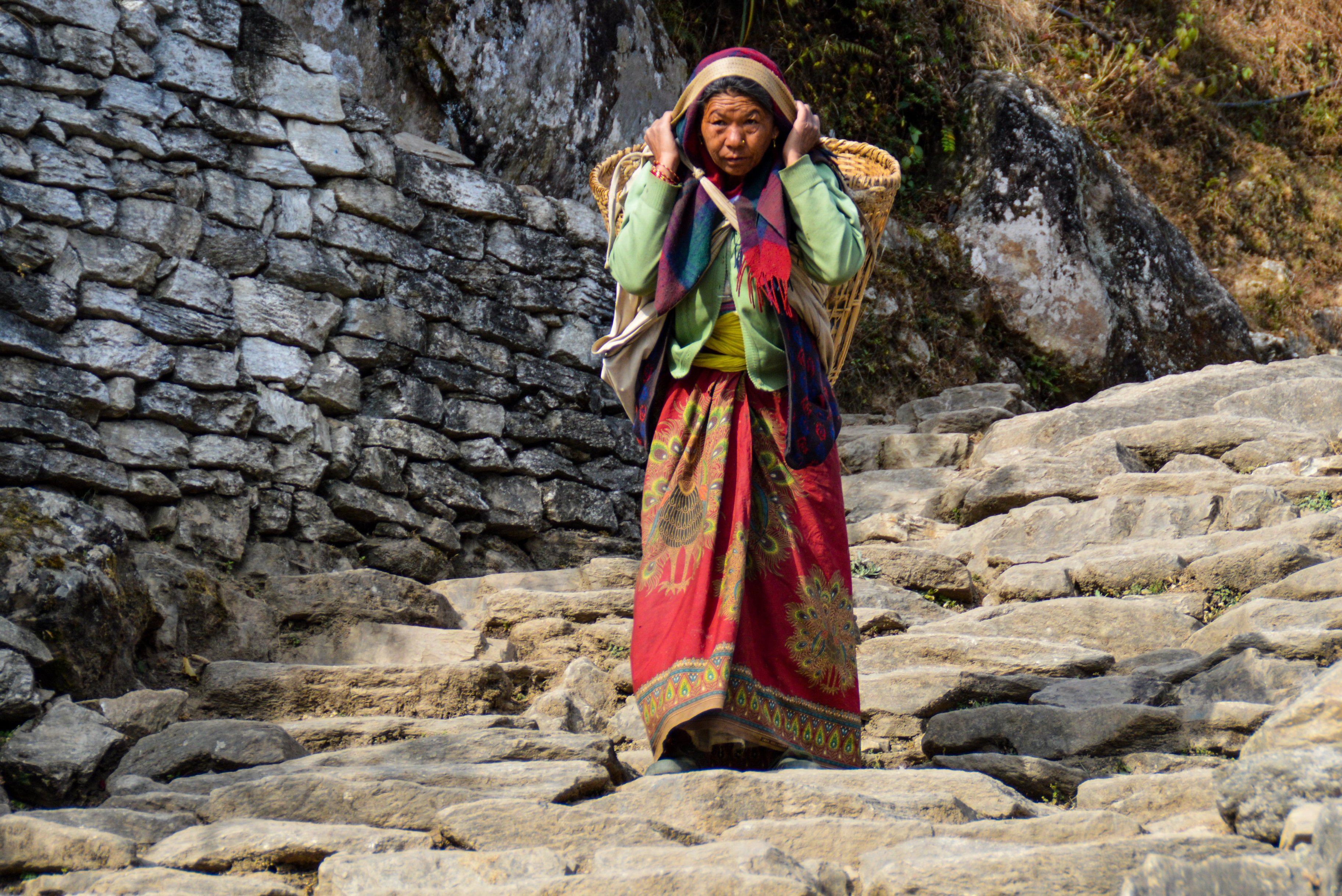 A Nepalese woman carries her crop down to the village to sell it there