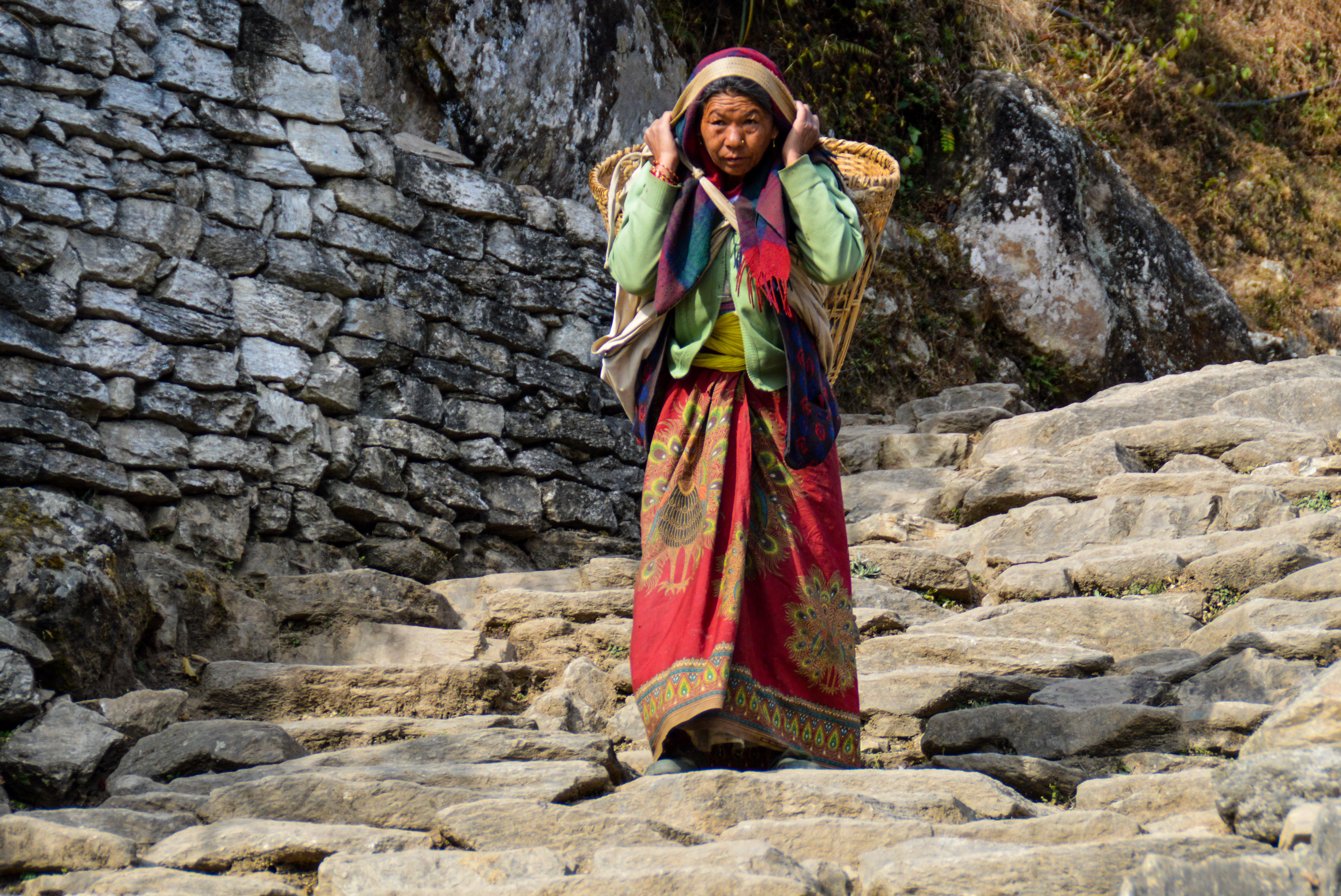 A Nepalese woman carries her crop down to the village to sell it there