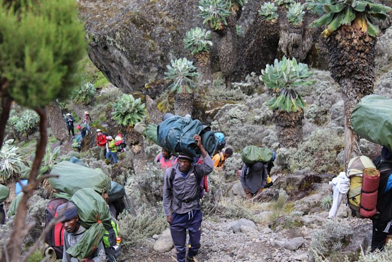 The scenery on Kilimanjaro changes from day to day and is always a delight