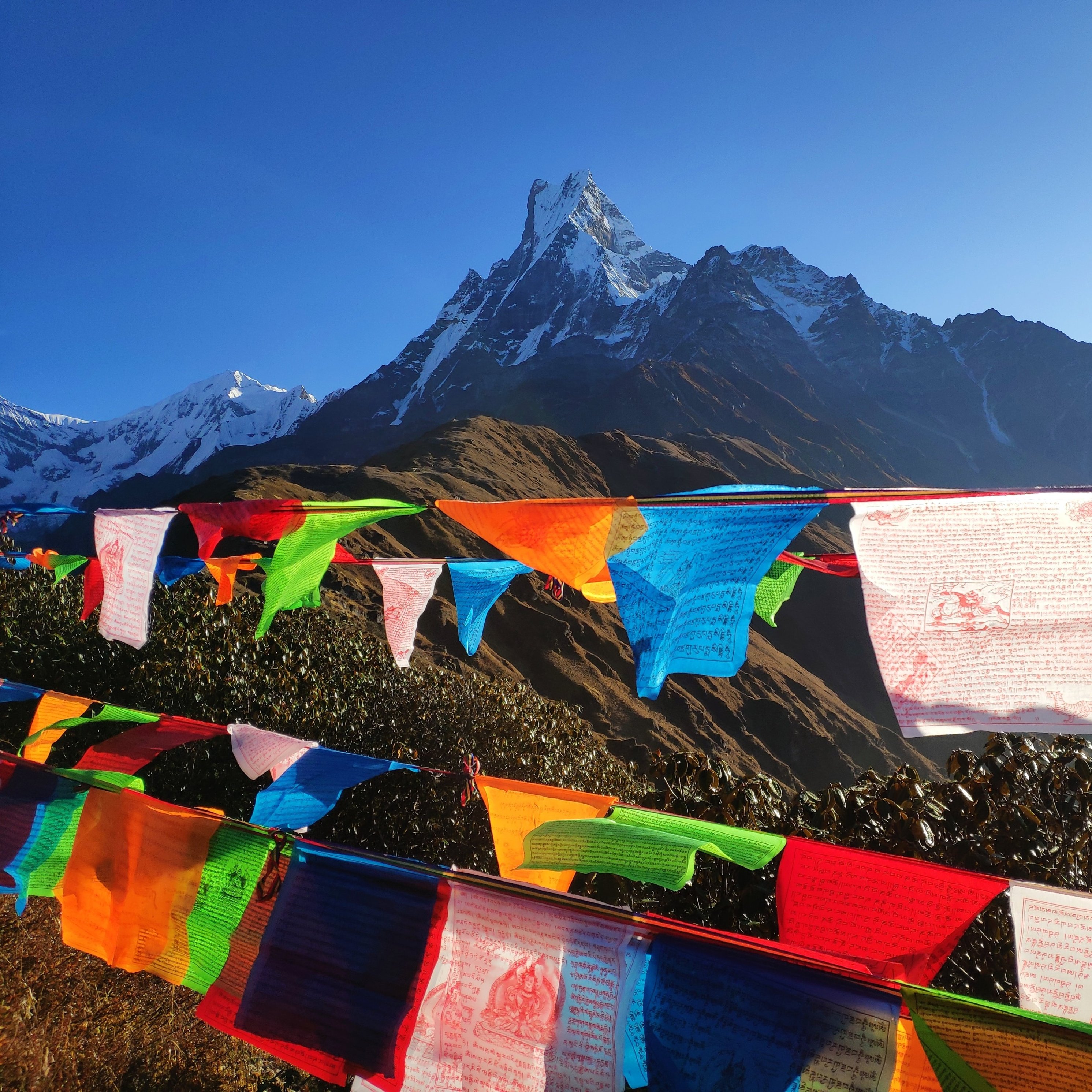 Mardi Himal Base Camp with prayer flags, Lumle, Nepal