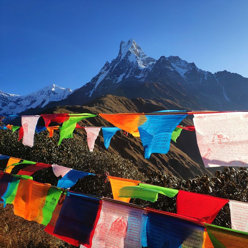 Mardi Himal Base Camp with prayer flags, Lumle, Nepal
