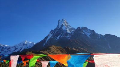 Mardi Himal Base Camp with prayer flags, Lumle, Nepal