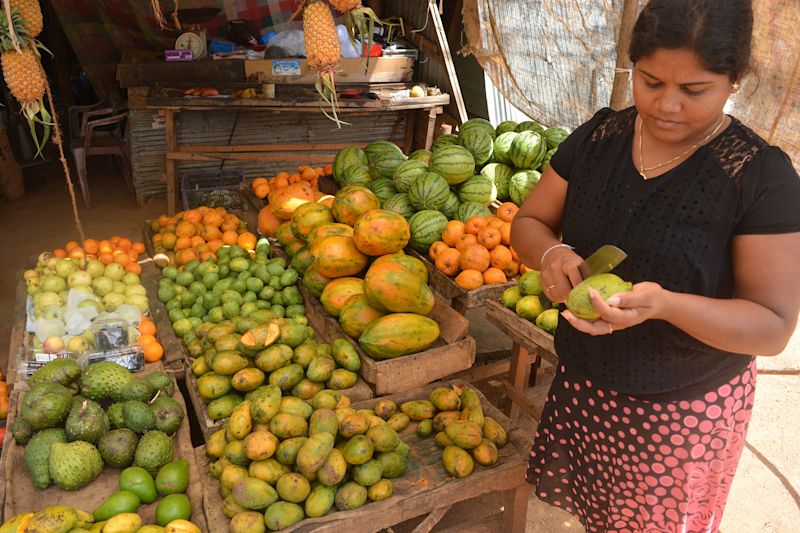 Delicious fruits are available throughout the year