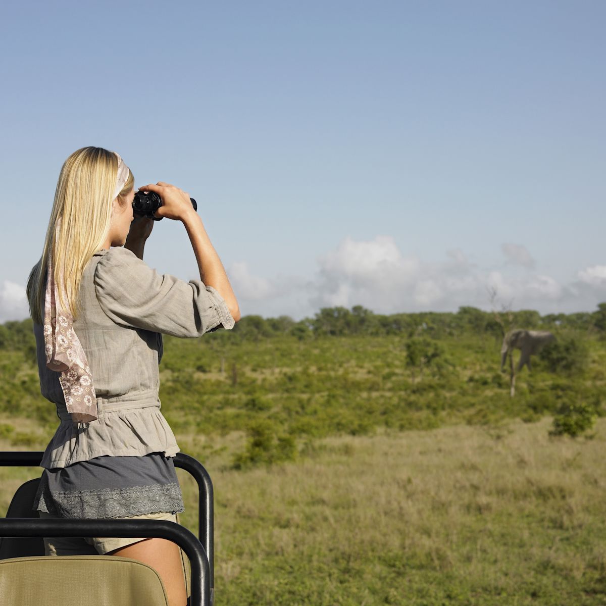 Pur. Woman on safari looking at elephants through binoculars