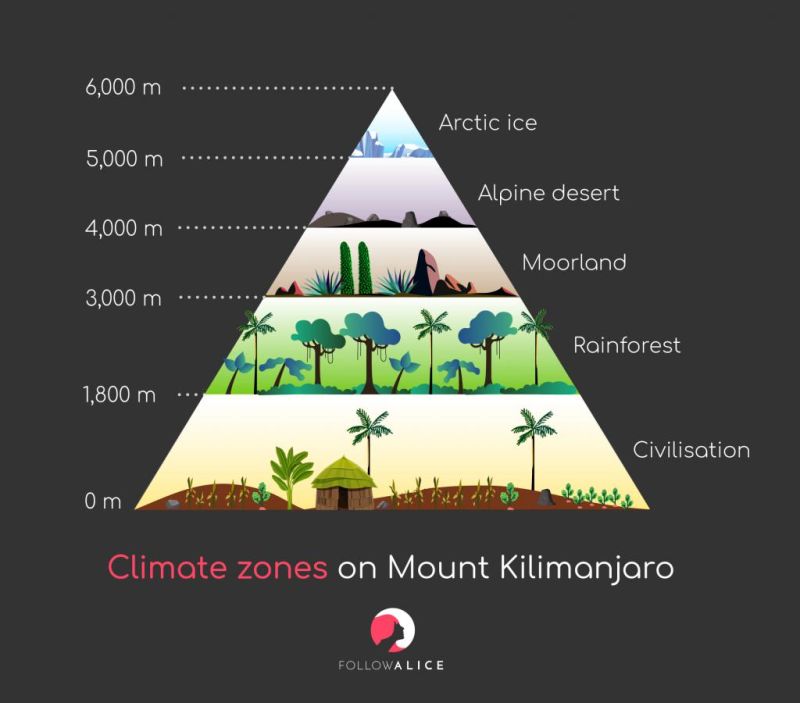 Dig Deep (Challenges): Dan vs Mount Kilimanjaro 2024!