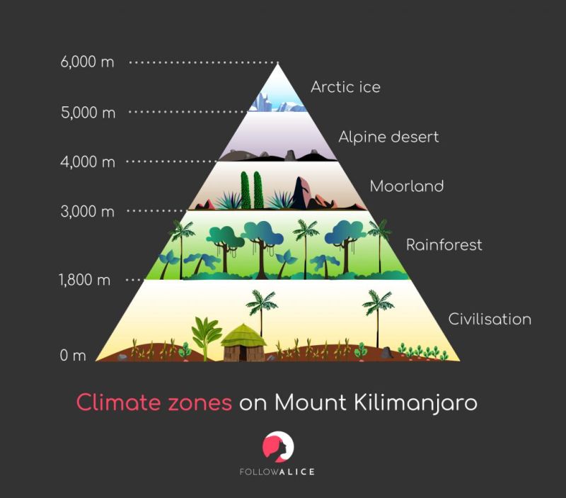 Climate-Zones-Kilimanjaro-1-1-1024x900.jpg