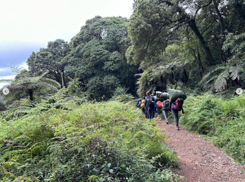 Mweka route descent on Kilimanjaro rainforest