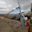 Ours. S. Nyele La 4,830 m. Jigme Dorji National Park. Bhutan