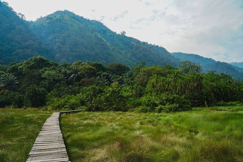 Wooden boardwalk inside Semuliki National Park in western Uganda | Top 20 things to do in Uganda