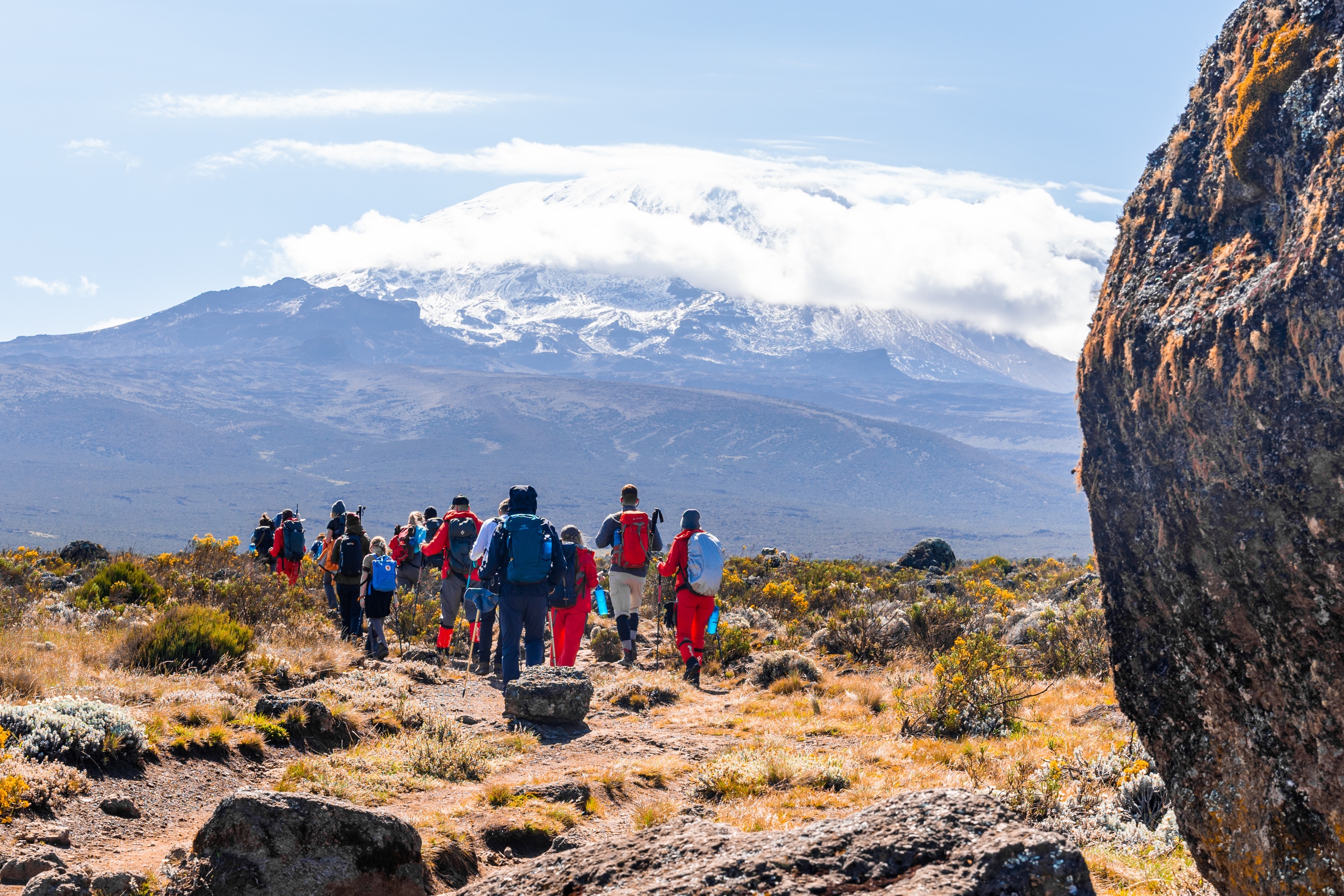 Trekkers on Shira Plateau en route to Shira 2 Camp, Kilimanjaro