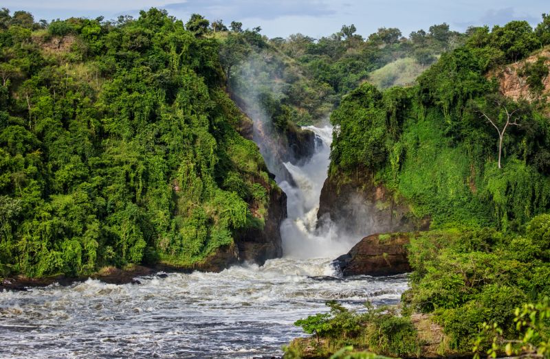 Ours. S. Murchison Falls Uganda