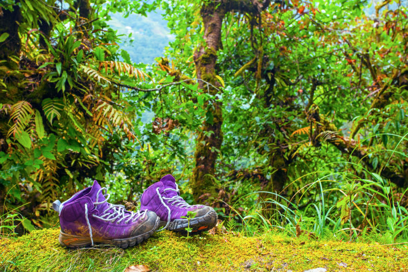 Purple hiking boots in jungle of Nepal