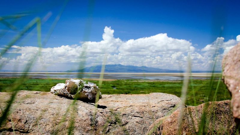 Lake Manyara