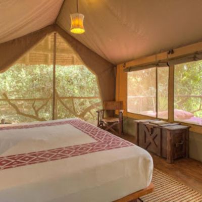Basecamp Masai Mara tent bedroom